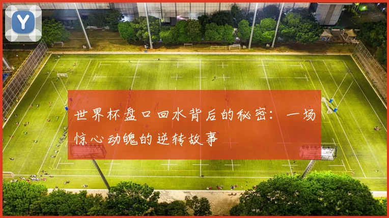 世界杯盘口回水背后的秘密：一场惊心动魄的逆转故事