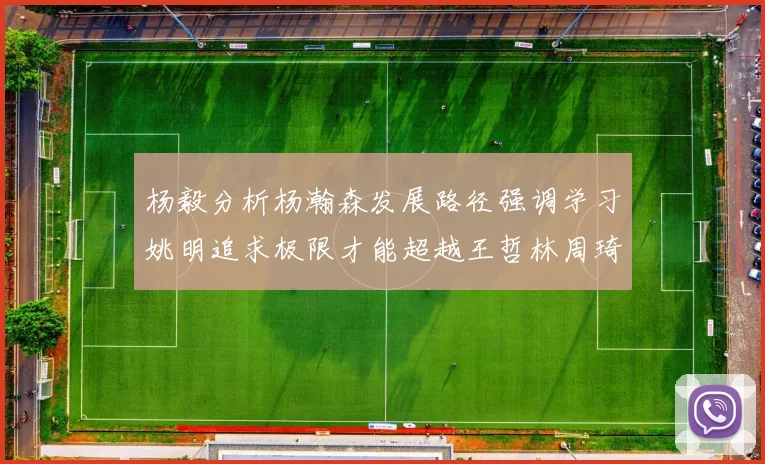 杨毅分析杨瀚森发展路径强调学习姚明追求极限才能超越王哲林周琦状态