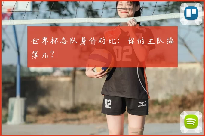世界杯各队身价对比:你的主队排第几?