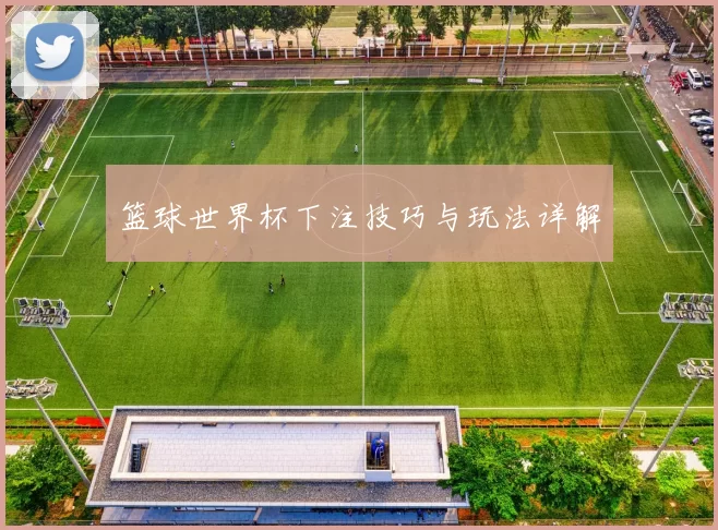 篮球世界杯下注技巧与玩法详解