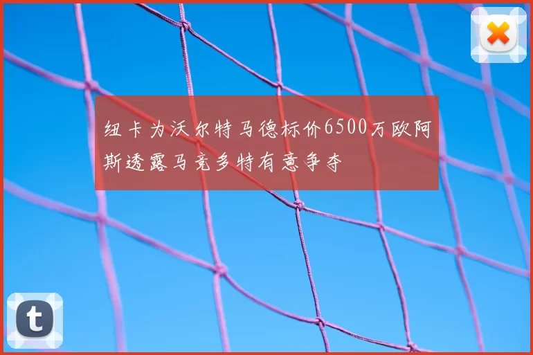 纽卡为沃尔特马德标价6500万欧阿斯透露马竞多特有意争夺