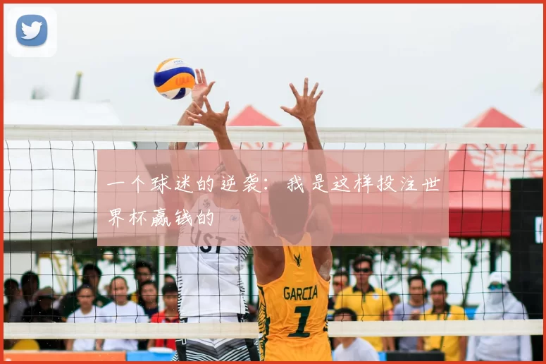 一个球迷的逆袭:我是这样投注世界杯赢钱的