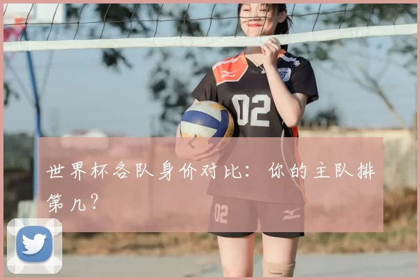 世界杯各队身价对比:你的主队排第几?