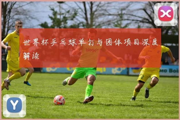 世界杯乒乓球单打与团体项目深度解读
