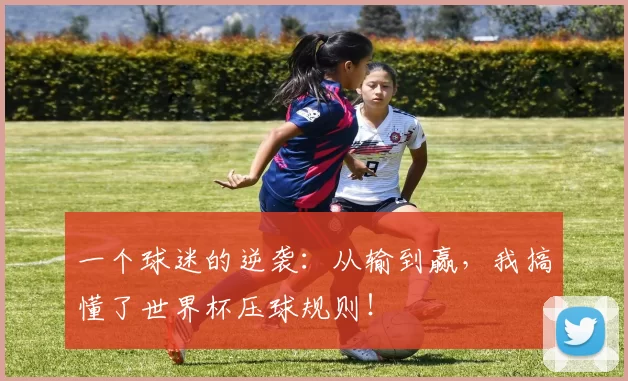 一个球迷的逆袭:从输到赢,我搞懂了世界杯压球规则!