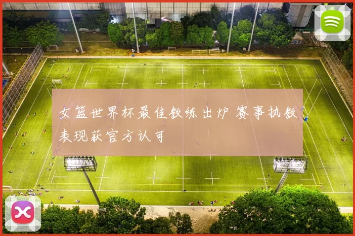 女篮世界杯最佳教练出炉 赛事执教表现获官方认可