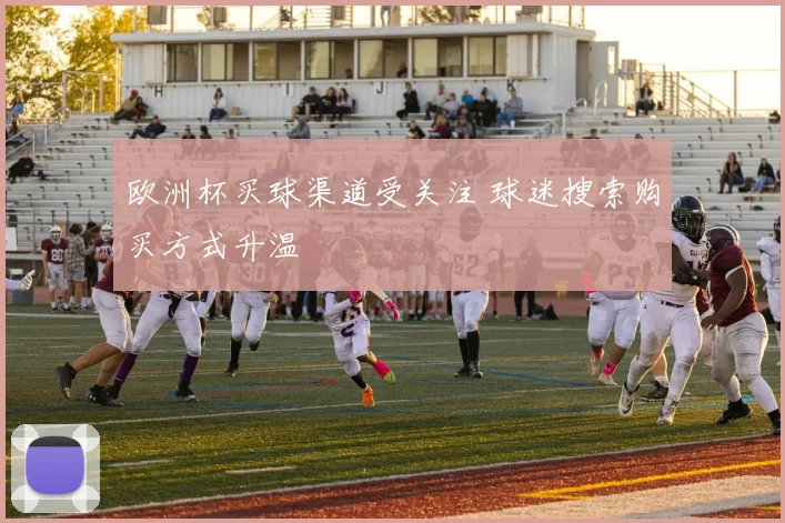 欧洲杯买球渠道受关注 球迷搜索购买方式升温