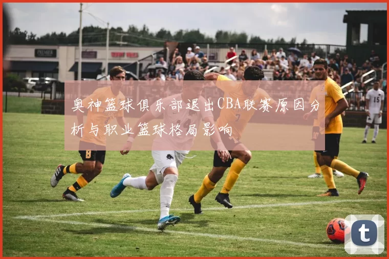 奥神篮球俱乐部退出CBA联赛原因分析与职业篮球格局影响