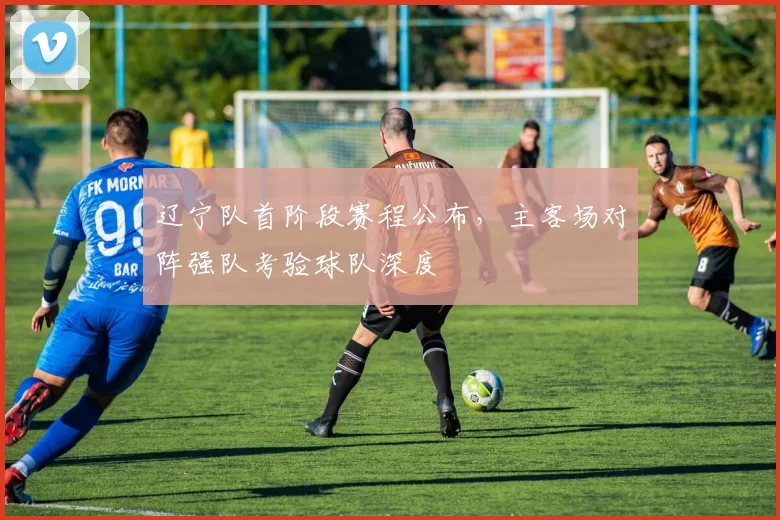 辽宁队首阶段赛程公布，主客场对阵强队考验球队深度