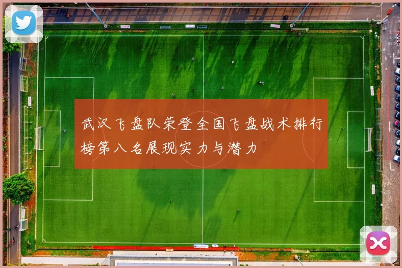 武汉飞盘队荣登全国飞盘战术排行榜第八名展现实力与潜力